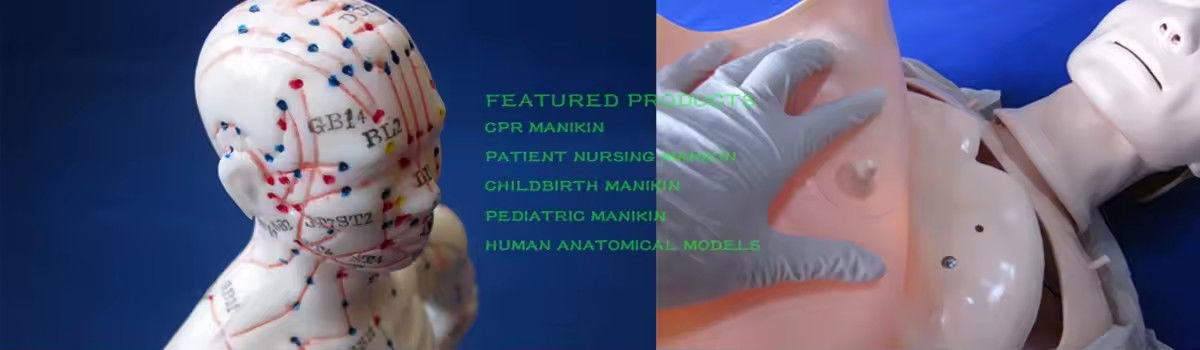 Nursing Skill Training Simulator