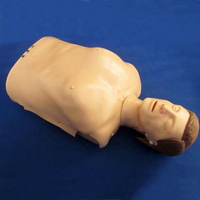Electronic Bust CPR Training Manikin Patients Care Demonstration with Advanced PVC