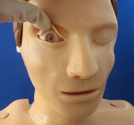 Electronic Bust CPR Training Manikin Patients Care Demonstration with Advanced PVC