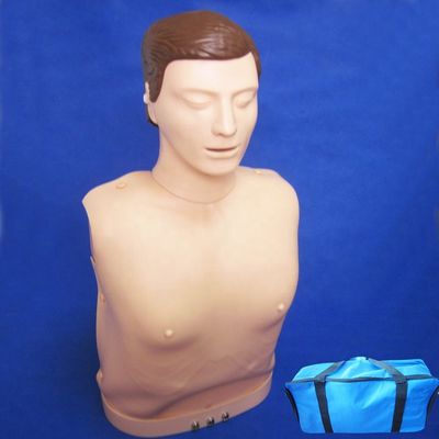 Electronic Bust CPR Training Manikin Patients Care Demonstration with Advanced PVC