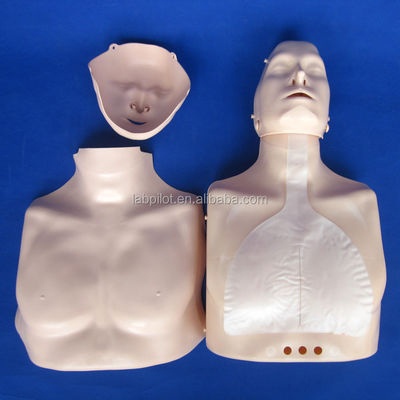 Half-body CPR Training Manikin The Perfect Addition to Your Emergency Skills Teaching