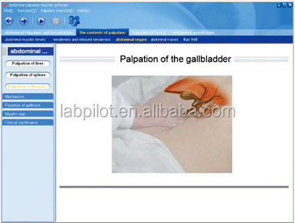Teaching Network and Software Medical Training Model for Blood Pressure Measurement