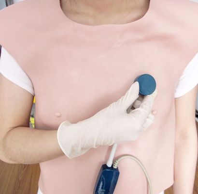 Human Life Size Medical Science Tool Cardiopulmonary Auscultation Model for Teaching
