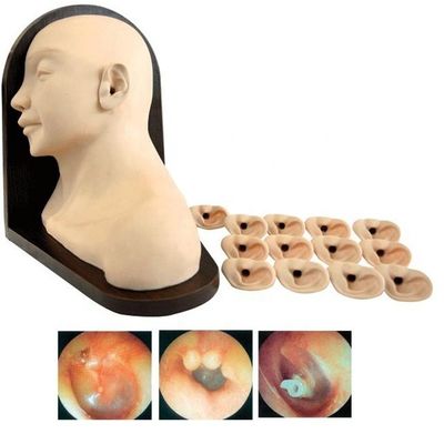 Medical Science Ear Diagnostic Training Model for Clinical Nursing Skills Education