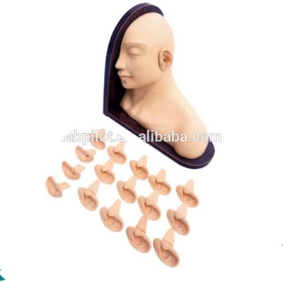 Medical Science Ear Diagnostic Training Model for Clinical Nursing Skills Education