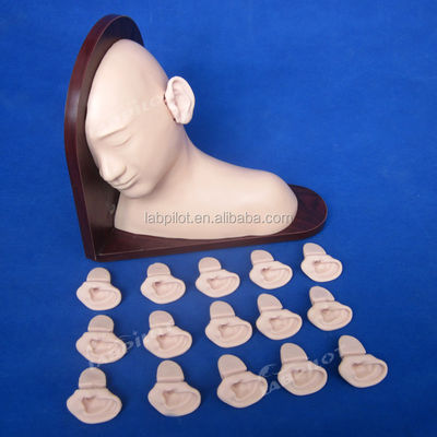 Medical Science Ear Diagnostic Training Model for Clinical Nursing Skills Education