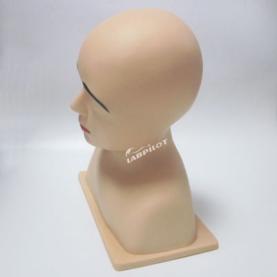 Human Life Size Vivid Ear Model The Ultimate Tool for Ear Irrigation Training Simulator