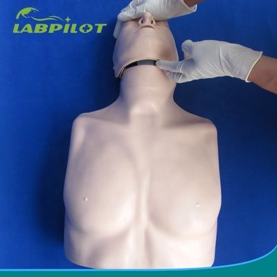 Simple Type First Aid Half Body CPR Training Manikin for School Training Facility