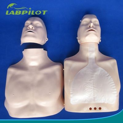Simple Type First Aid Half Body CPR Training Manikin for School Training Facility