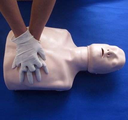 Simple Type First Aid Half Body CPR Training Manikin for School Training Facility
