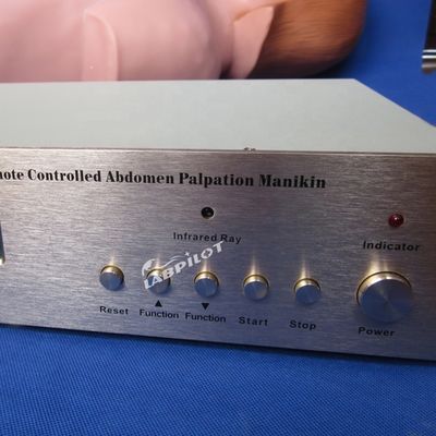 Abdominal Palpation Simulator for Nursing Education and Realistic Human Simulation