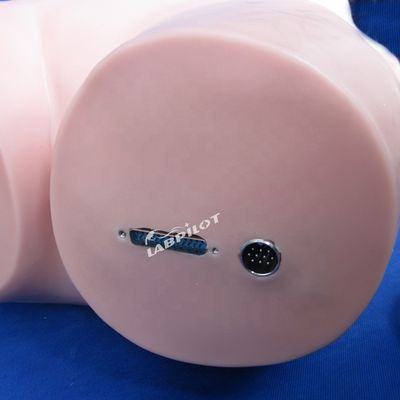 Abdominal Palpation Simulator for Nursing Education and Realistic Human Simulation