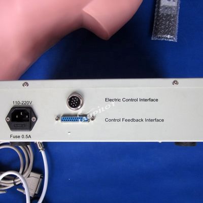 Abdominal Palpation Simulator for Nursing Education and Realistic Human Simulation