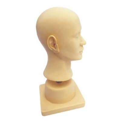 Teaching Ear and Head Model Manikin with External Auditory Canal Irrigation Simulator
