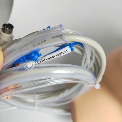 Vivid Head and Neck Model Nasal Hemorrhage Simulator for Patients Care Demonstration