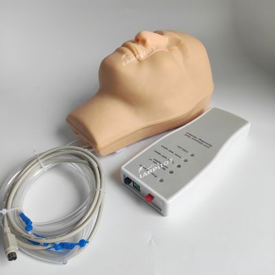 Vivid Head and Neck Model Nasal Hemorrhage Simulator for Patients Care Demonstration