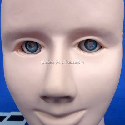 Manikin for Advanced Human Eye Examination Training Simulator Retinopathy Fundus Model