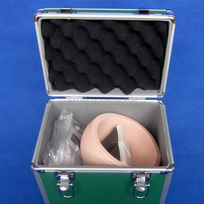 Manikin for Advanced Human Eye Examination Training Simulator Retinopathy Fundus Model
