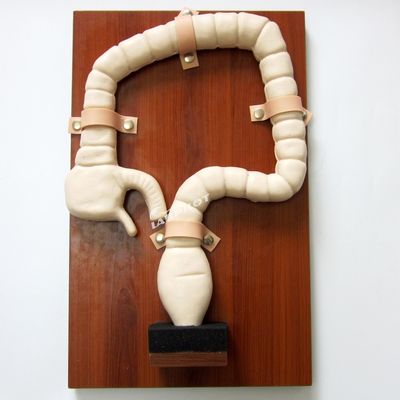 Human Life Size Colonoscopy Examination Training Model Large Intestine Simulator
