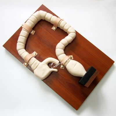 Human Sigmoidoscope Training with Vivid Large Intestine Model and Life Size Simulator