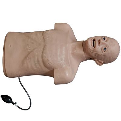 Advanced PVC Manikin The Top Choice for Elderly Resuscitation and Intubation Training