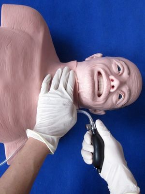 Advanced PVC Manikin The Top Choice for Elderly Resuscitation and Intubation Training