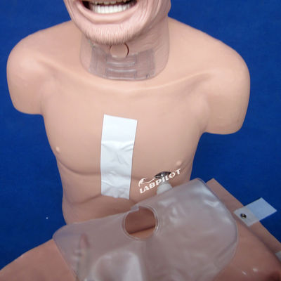 Advanced PVC Manikin The Top Choice for Elderly Resuscitation and Intubation Training