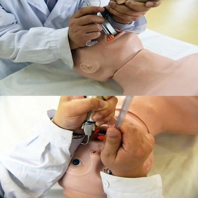 Advanced PVC Manikin The Top Choice for Elderly Resuscitation and Intubation Training