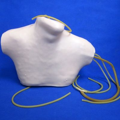 Advanced PVC CVC Training Simulator for Central Venipuncture and Intubation Education