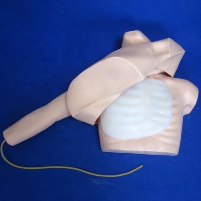 Peripheral Veins Puncture and Central Venous Catheters Insertion Teaching Model PICC Simulator