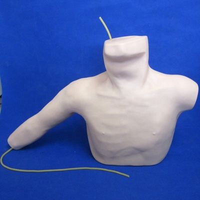 Peripheral Veins Puncture and Central Venous Catheters Insertion Teaching Model PICC Simulator