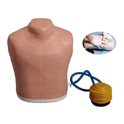 Medical Science Chest Tube Manikin for Tension Pneumothorax Decompression Training Model
