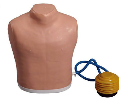 Medical Science Chest Tube Manikin for Tension Pneumothorax Decompression Training Model