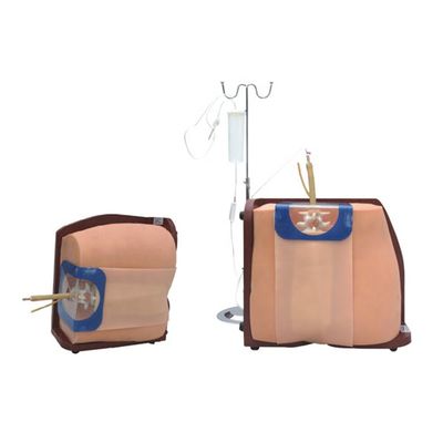 Versatile Spinal Vertebral Puncture Training Simulator for Medical Professionals