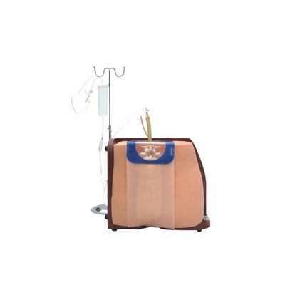 Versatile Spinal Vertebral Puncture Training Simulator for Medical Professionals