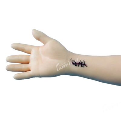 Medical Science Advanced Surgical Suture Training Arm for Professional Development