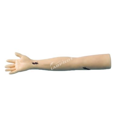 Medical Science Advanced Surgical Suture Training Arm for Professional Development