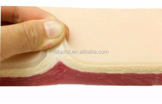 Human Life Size Surgical Suture Practice Skin Simulation Incision Cutting Teaching Kit