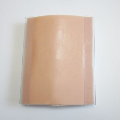 Medical Training Tool Simulated Skin Suture Module for Surgical Muscle Incisions