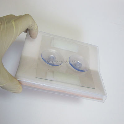 Medical Training Tool Simulated Skin Suture Module for Surgical Muscle Incisions