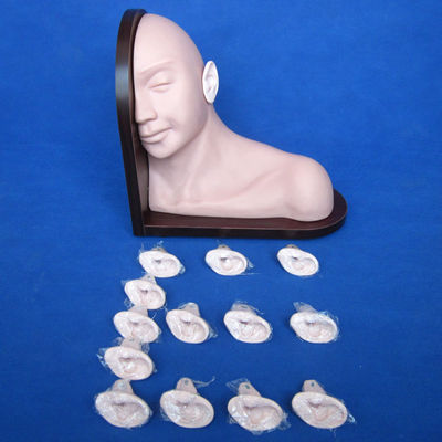 Medical Education Ear Examination Model Realistic Human Simulation with 14-pc Set