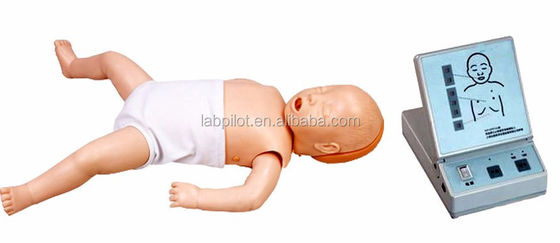 Infant CPR Manikin Essential for Advanced Cardiac Resuscitation Training