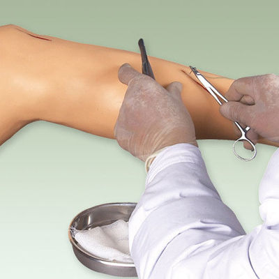 Medical Surgery Training Model Vivid Leg Model for Surgical Instrument Demonstration