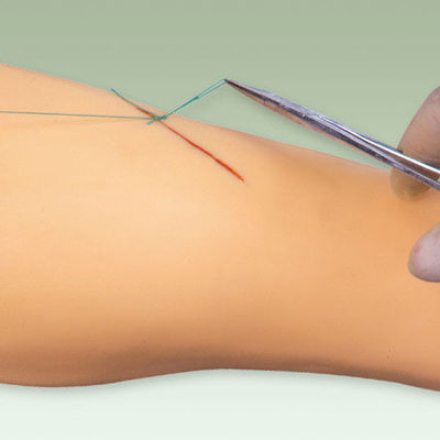 Medical Surgery Training Model Vivid Leg Model for Surgical Instrument Demonstration