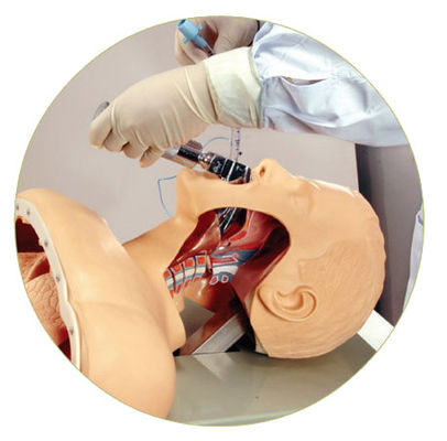 Electronic Warning Oral and Nasal Intubation Trainer for Emergency Skills Training