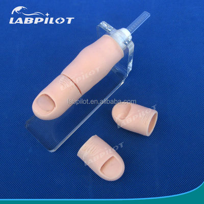 Ingrowing Toenail Trainer The Ultimate Model for Nails Extraction Training and Practice