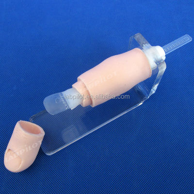 Ingrowing Toenail Trainer The Ultimate Model for Nails Extraction Training and Practice