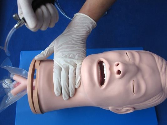 Multi-functional Endotracheal Intubation Training Mannequin for Airway Management Model