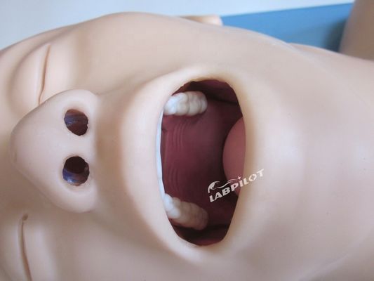 Multi-purpose Human Simulator for Airway Management and Cricoid Puncture in Hospitals