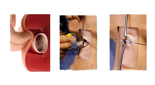 Manikin Anatomy Teaching Tracheostomy Demonstration Model for Medical Science Subject